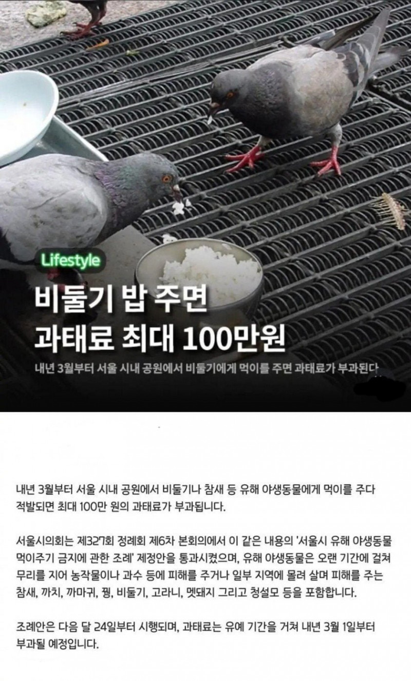 나눔로또