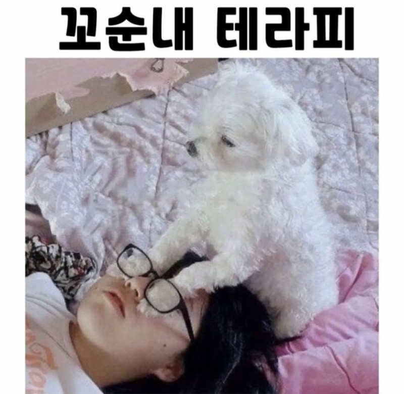 실시간게임