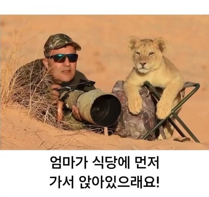 실시간파워볼