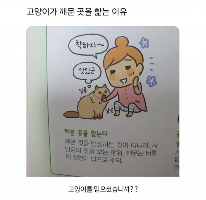 나눔로또 파워볼분석기