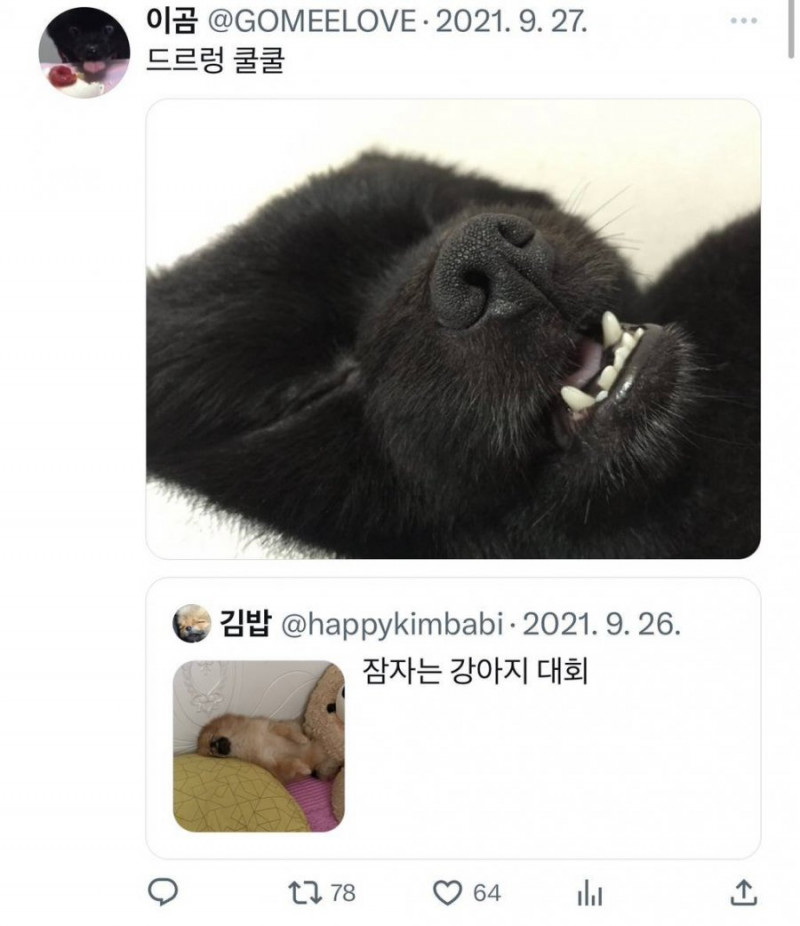 달팽이게임픽분석