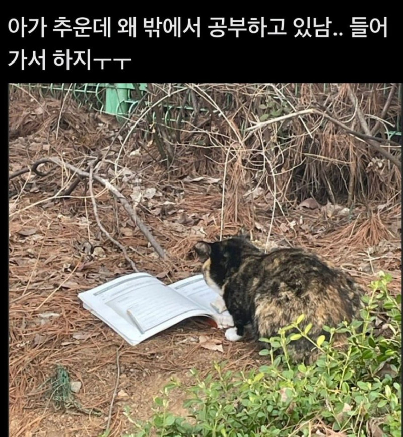 나눔로또