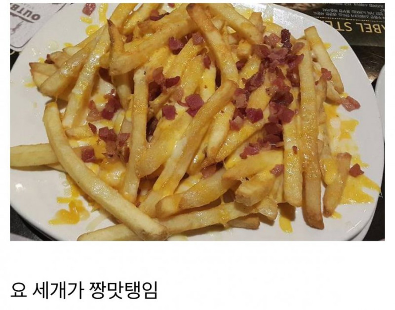 달팽이게임통계