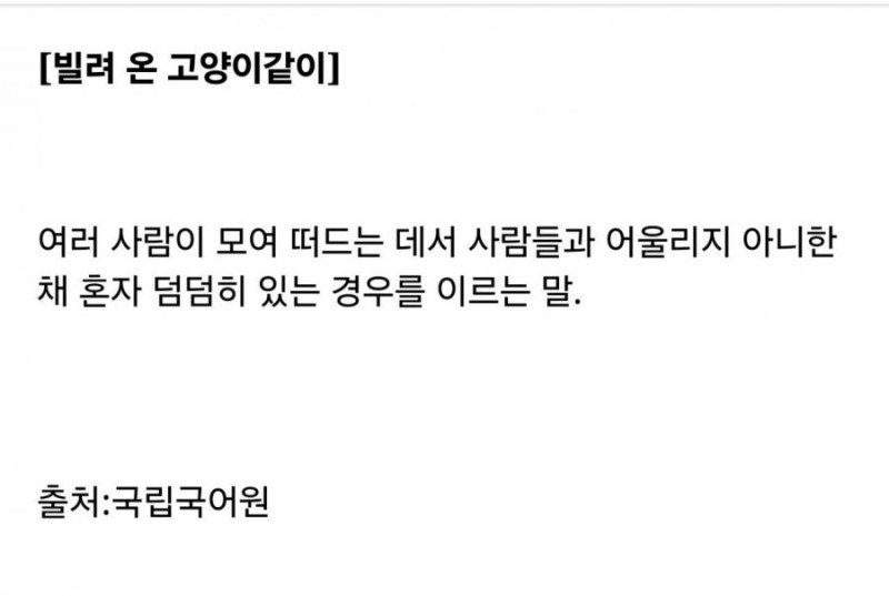 달팽이게임분석기