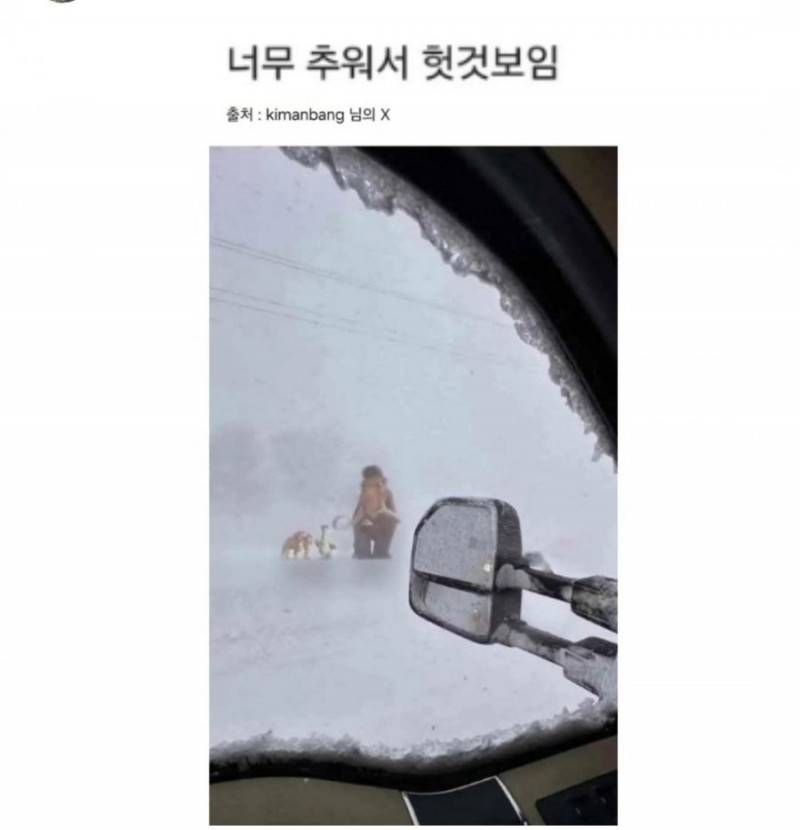 나눔로또 파워볼분석기