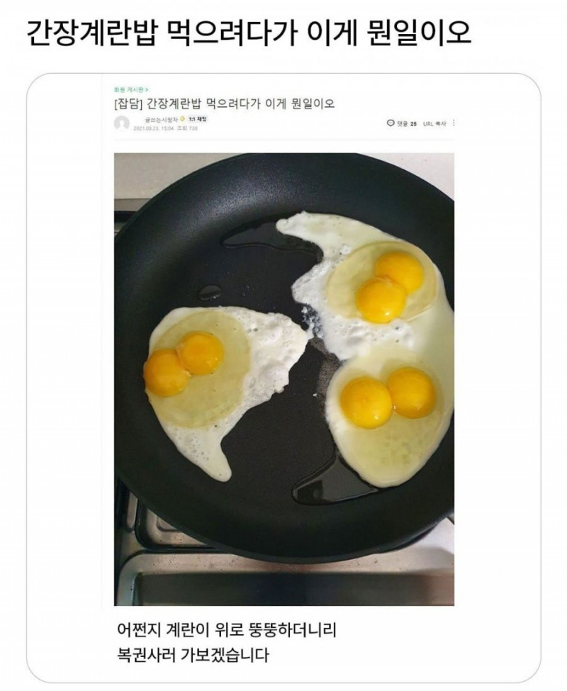 달팽이게임픽