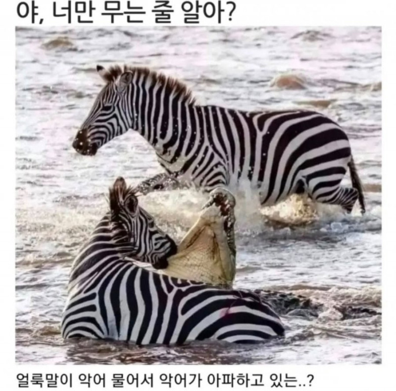 나눔로또