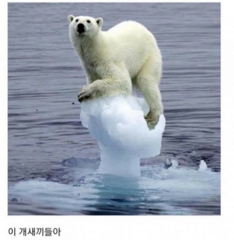 파워볼