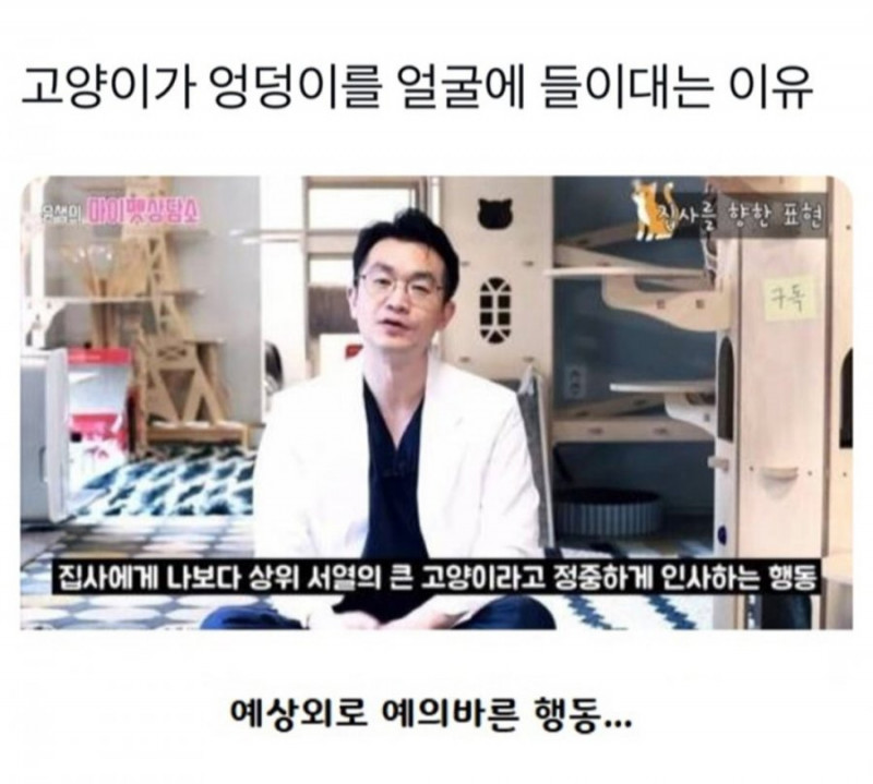 실시간게임