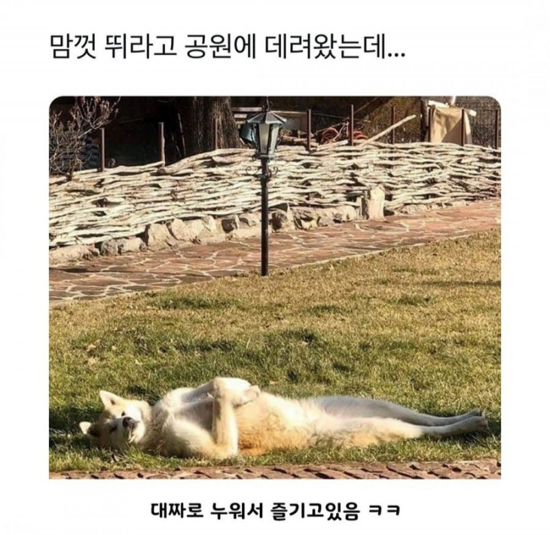 달팽이게임픽