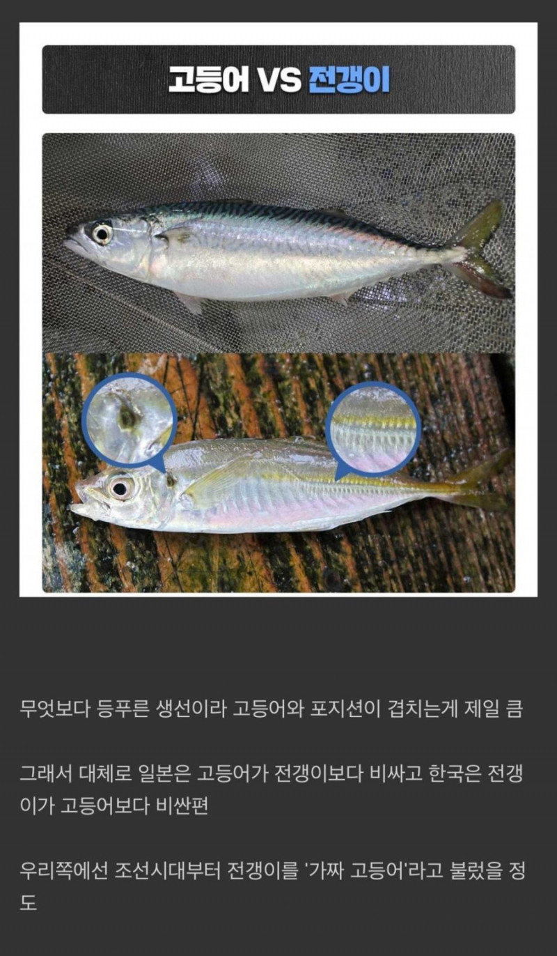 나눔로또