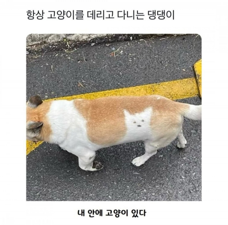 달팽이게임픽분석