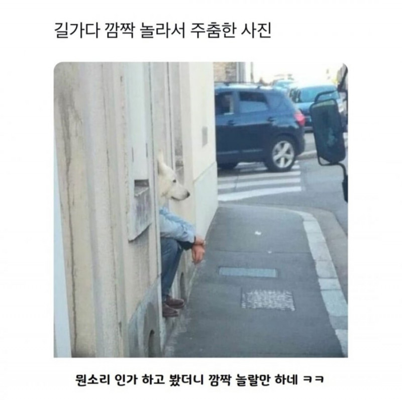 달팽이게임픽게임