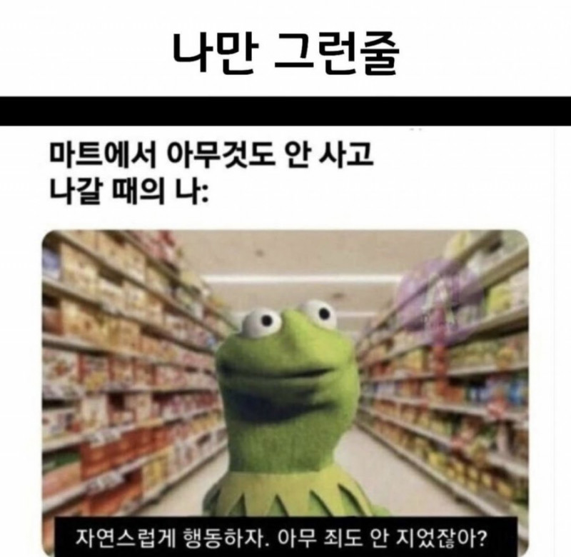 달팽이게임픽분석