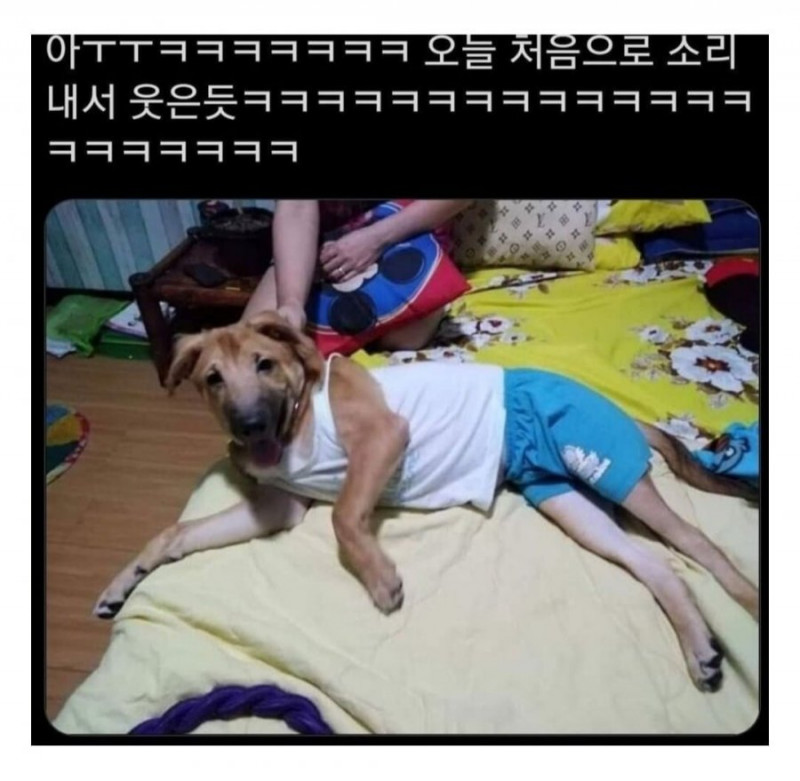 달팽이게임픽