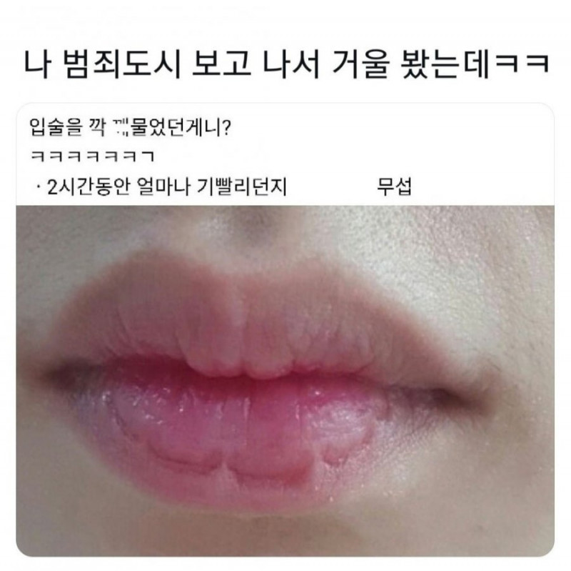 사다리 분석과 실시간패턴통계