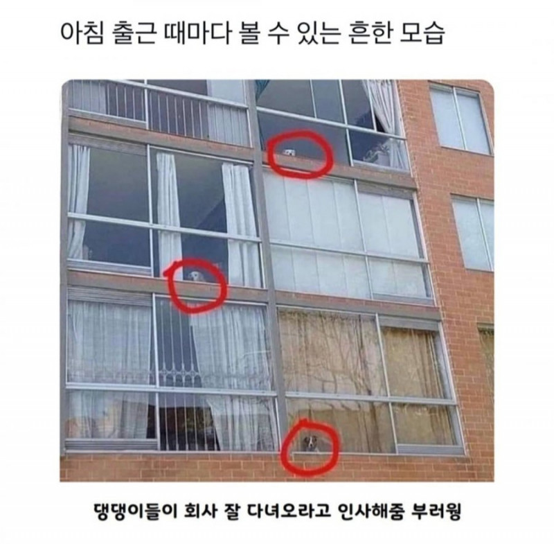 달팽이게임픽