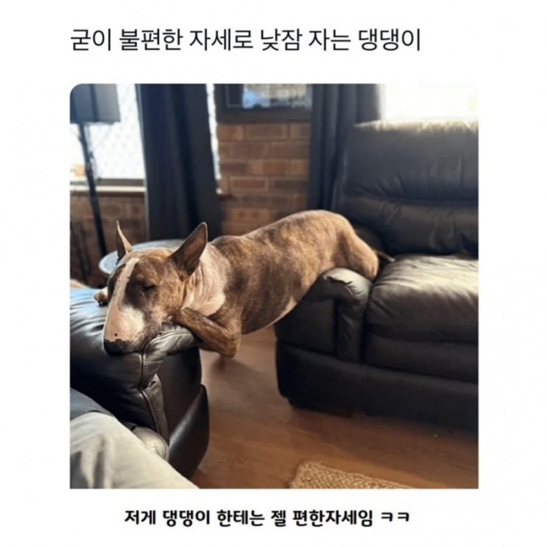 실시간달팽이