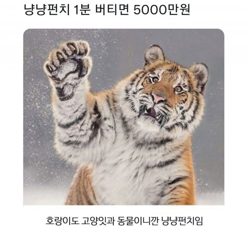 달팽이게임