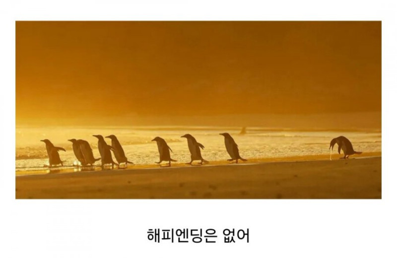 파워볼