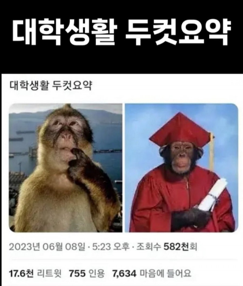 나눔로또