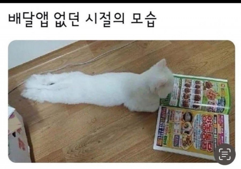 달팽이게임픽