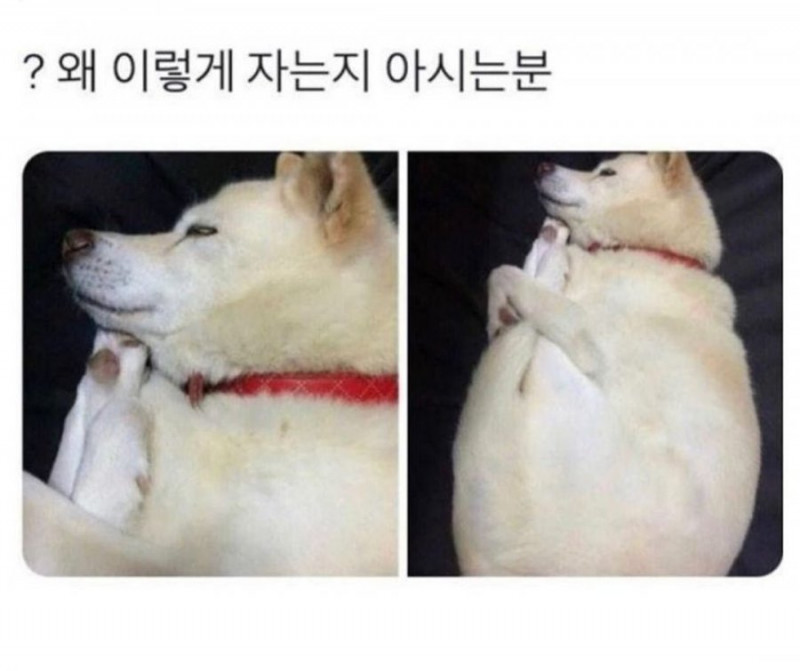 나눔로또