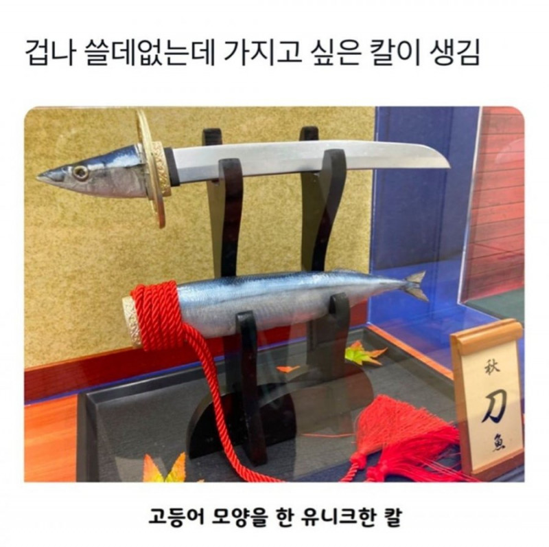 달팽이게임픽분석