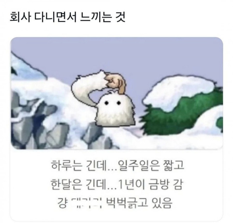 달팽이게임픽분석