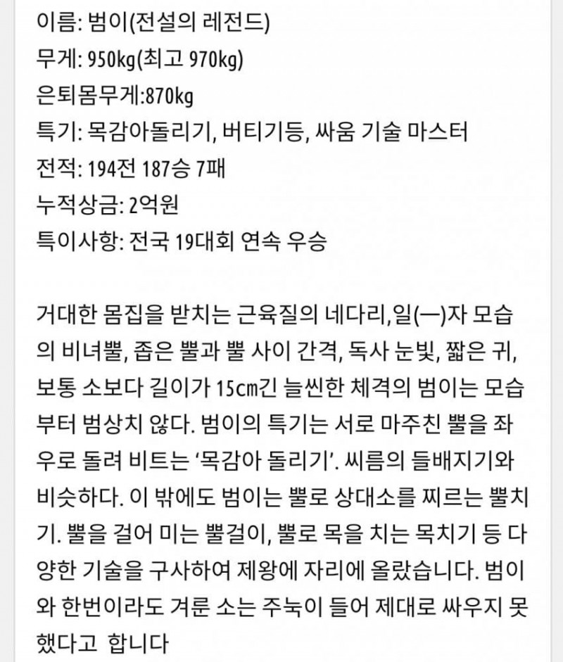 사다리 분석과 실시간패턴통계