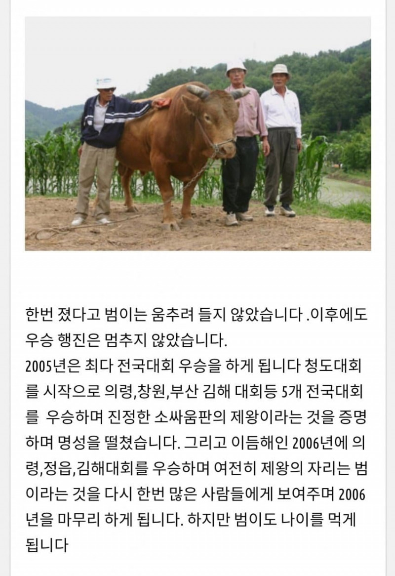 달팽이게임픽분석