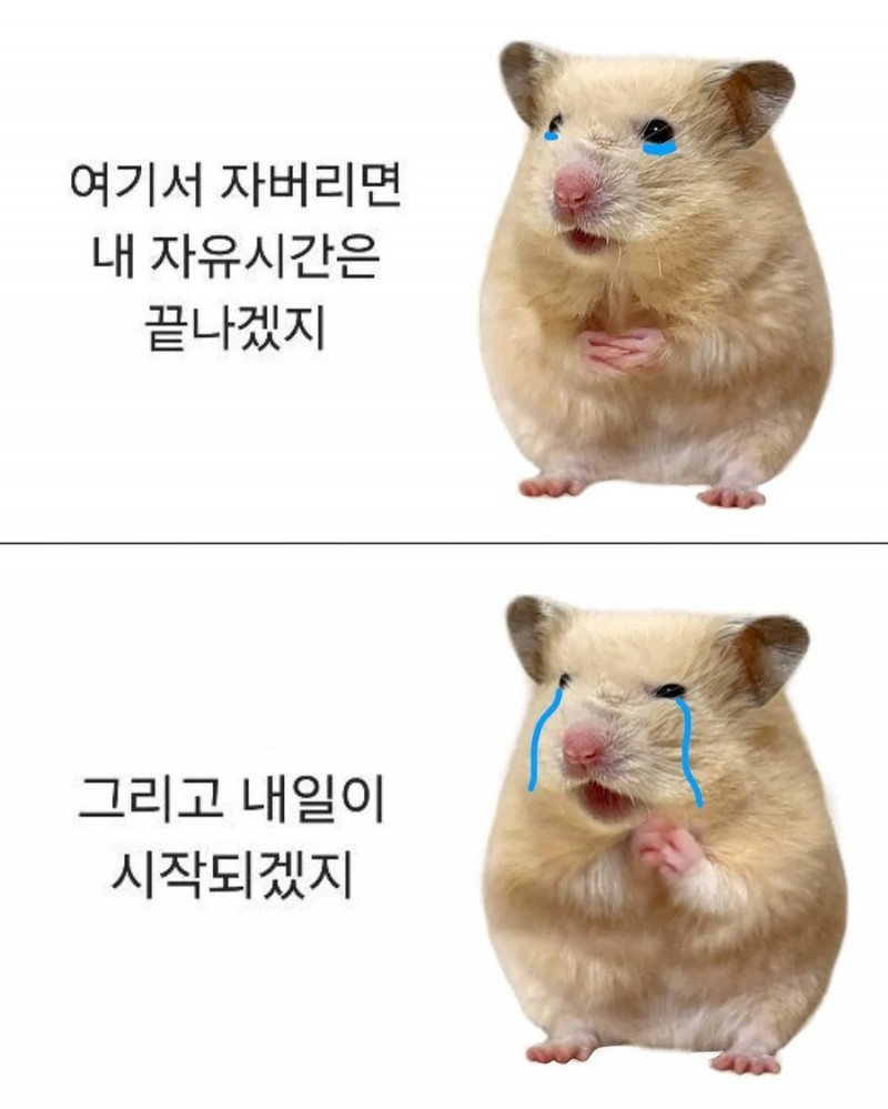 달팽이게임픽분석