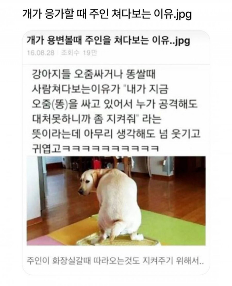 달팽이게임분석