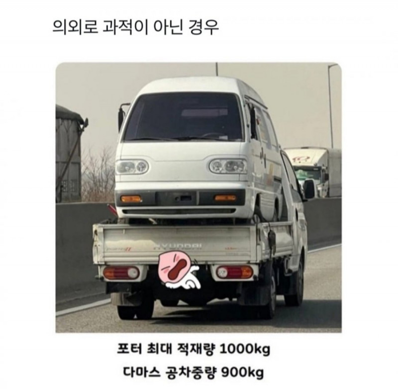 나눔로또 파워볼분석기