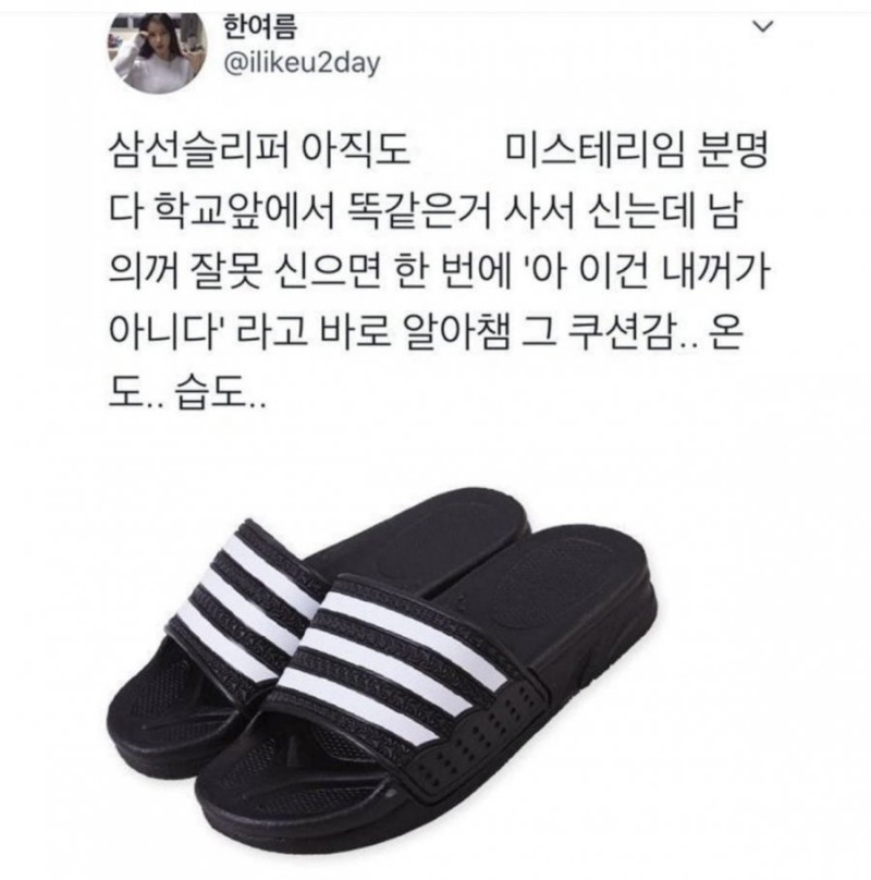 달팽이게임픽분석