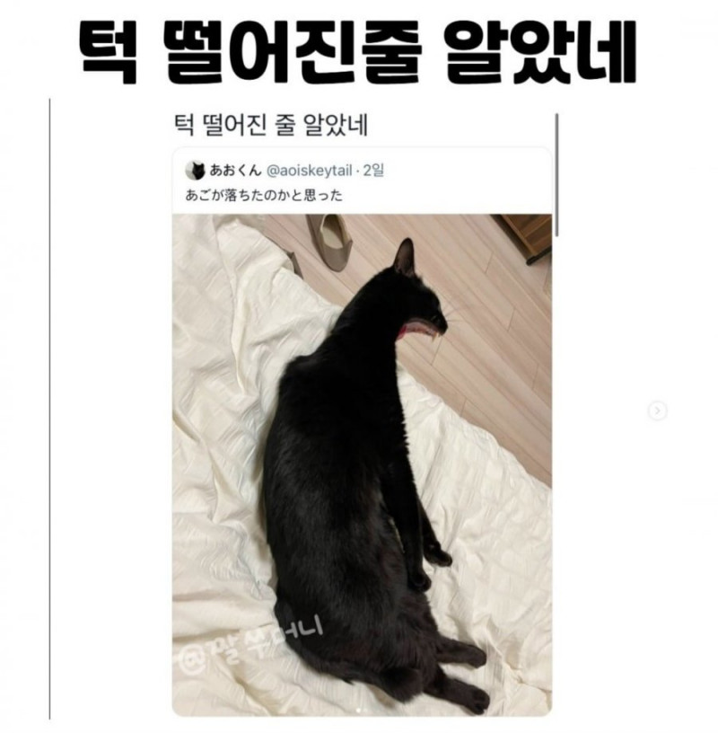 달팽이게임픽