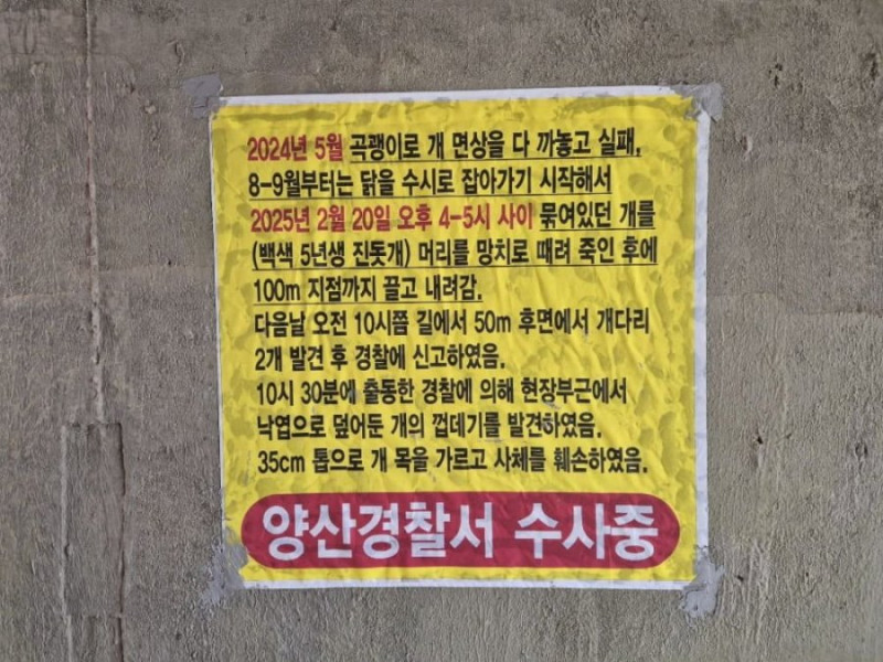 달팽이게임픽분석