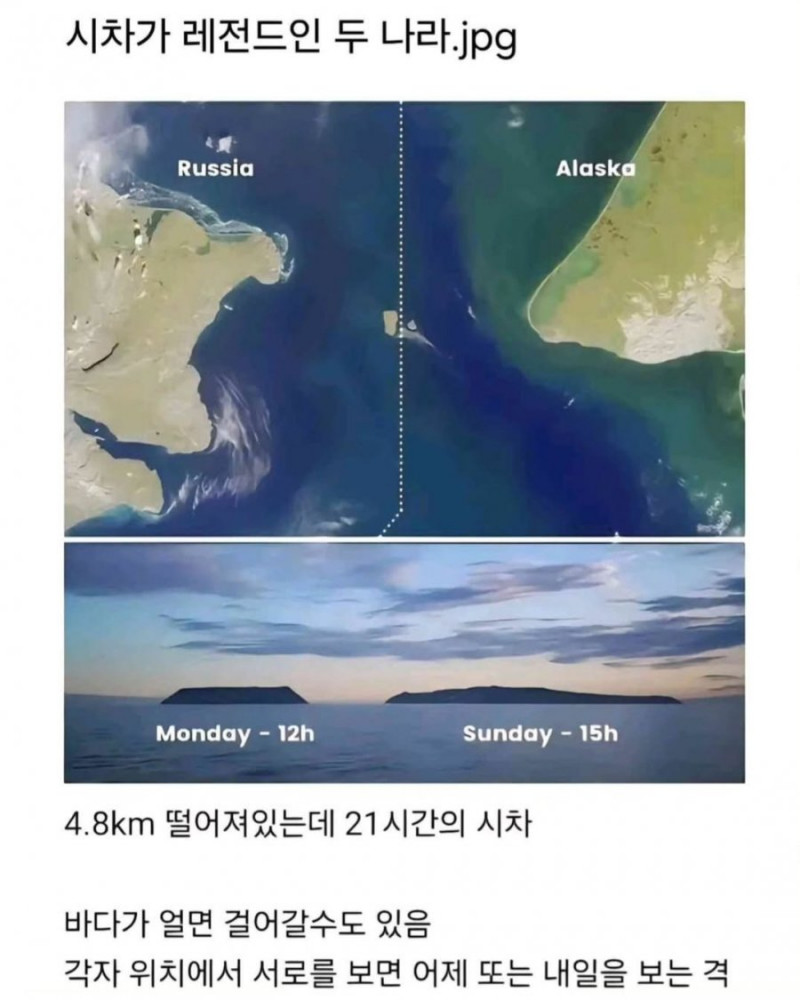 달팽이게임픽분석