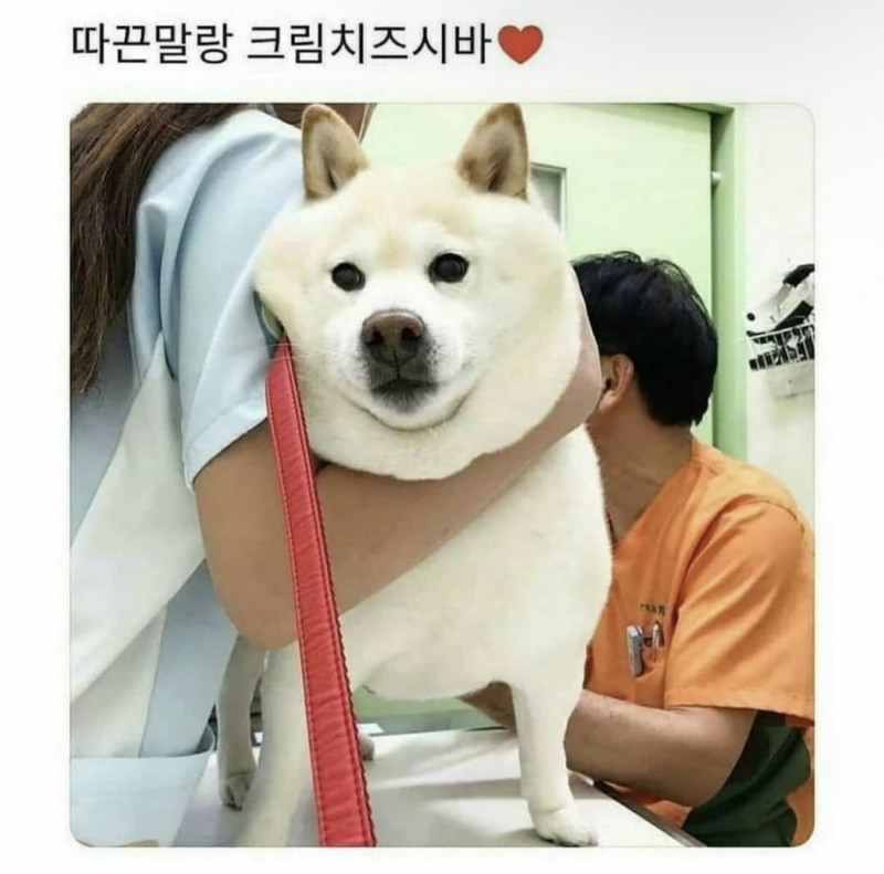 실시간달팽이