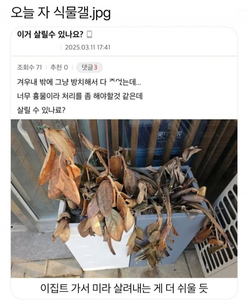 나눔로또