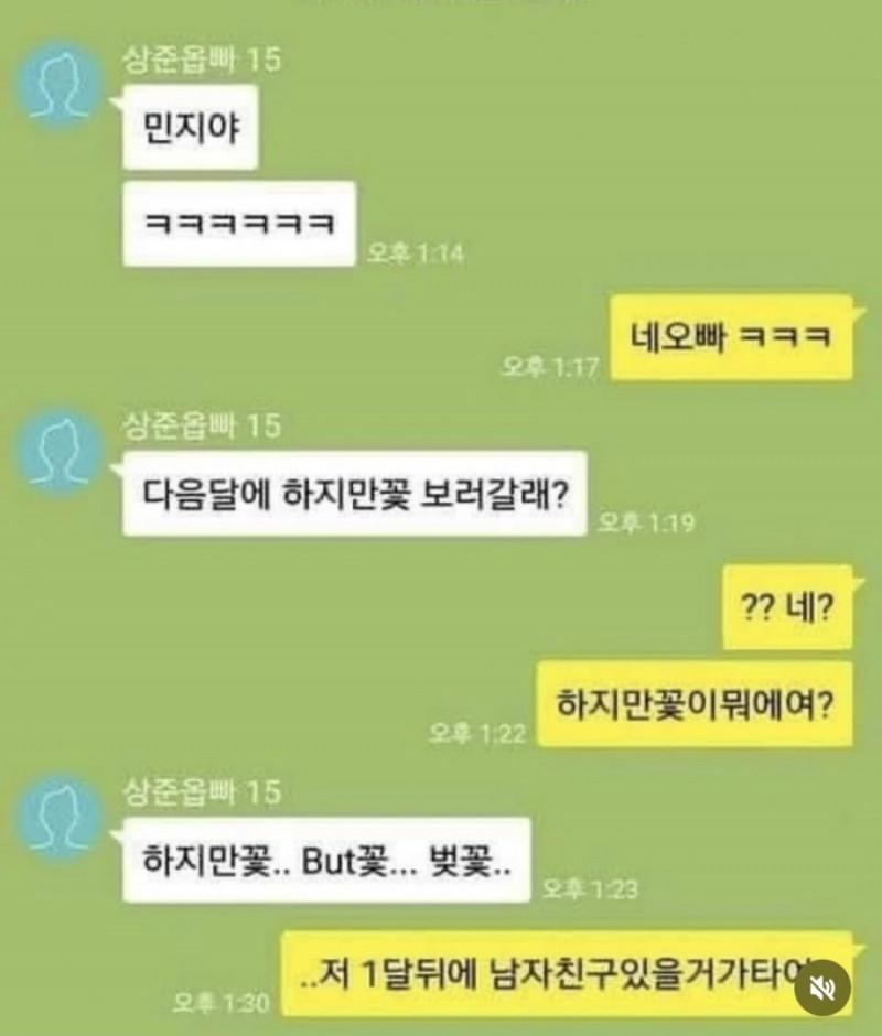 나눔로또 파워볼분석기