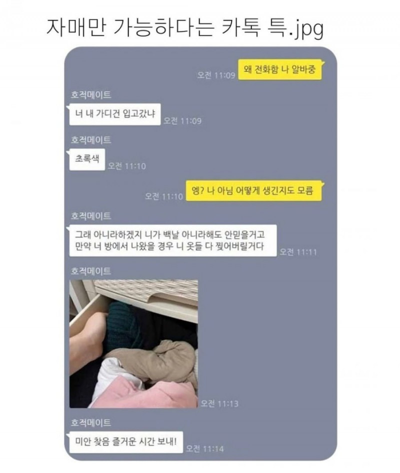 사다리 분석과 실시간패턴통계