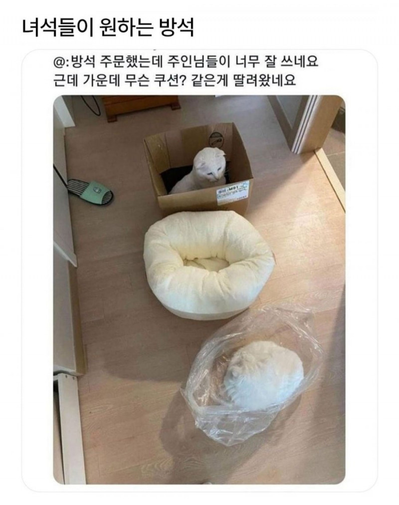 달팽이게임픽분석