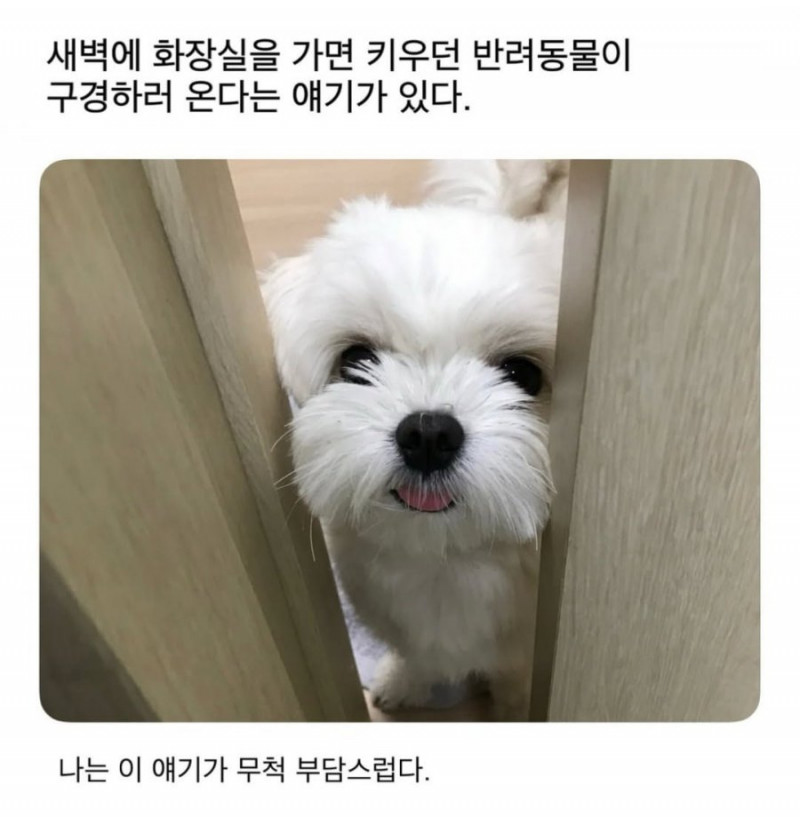 파워볼