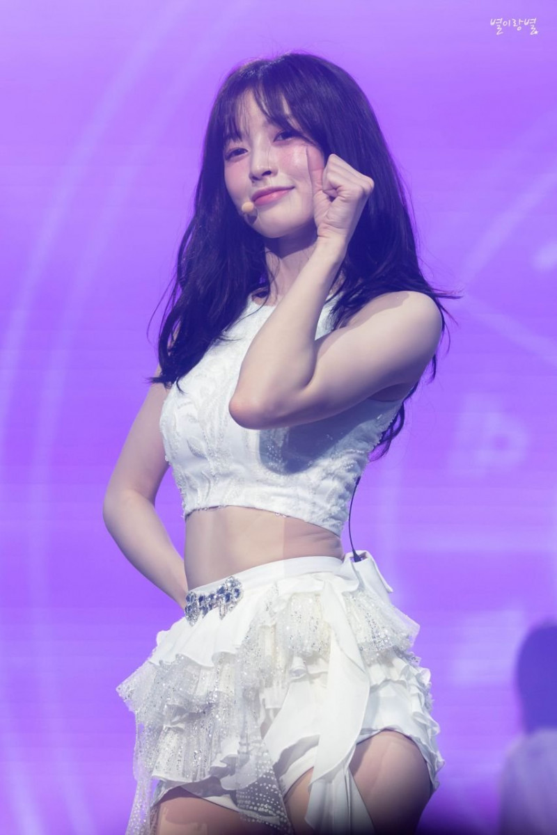 실시간다리다리