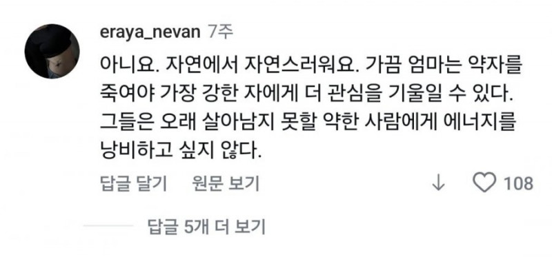 실시간다리다리