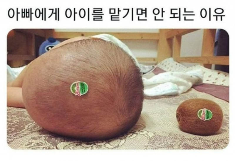 파워볼게임통계