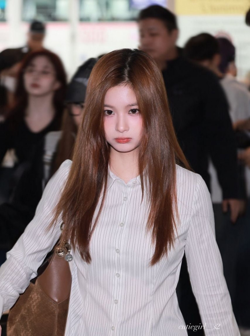 파워볼게임픽분석