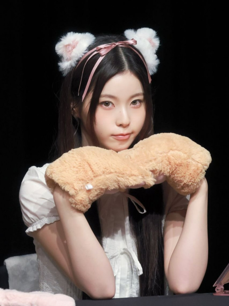 실시간다리다리