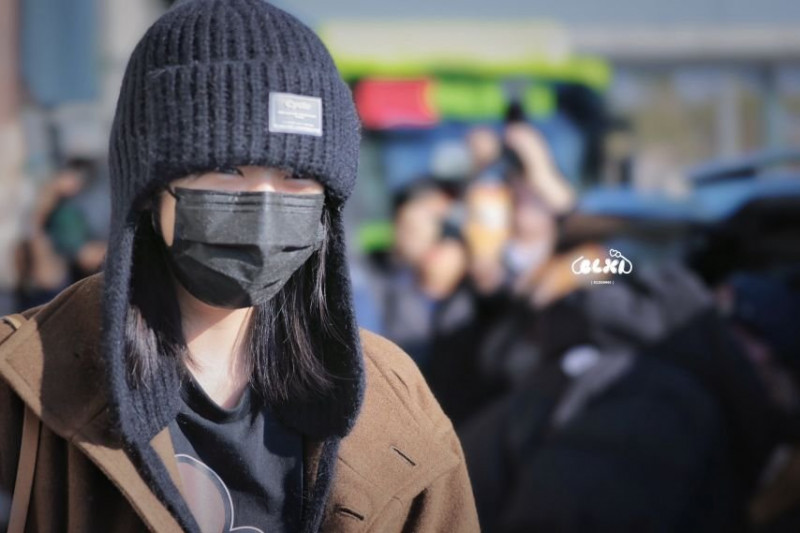 파워볼게임분석기